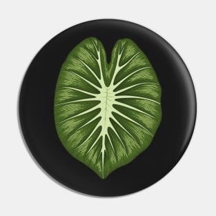 Colocasia white lava big leaf Pin