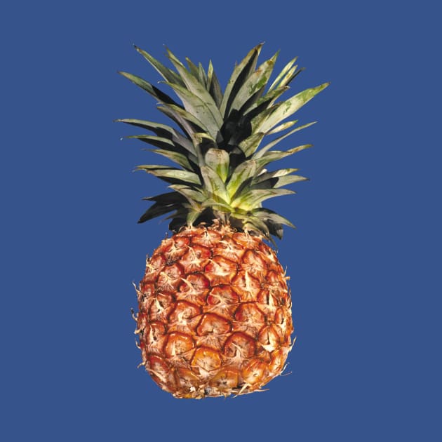 Pinapple by Riviera