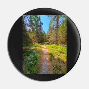 Hiking Trail Pin