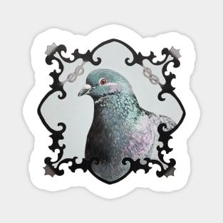 Pigeon - Rock Dove bird portrait painting Magnet