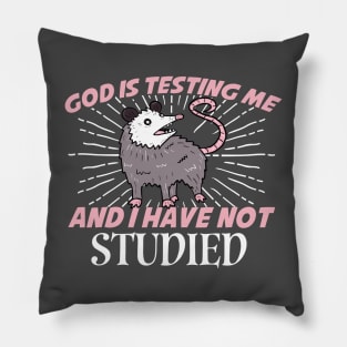 God Is Testing Me And I Have Not Studied Opossum  Pillow