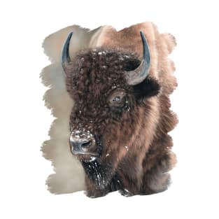 American Bison Portrait T-Shirt