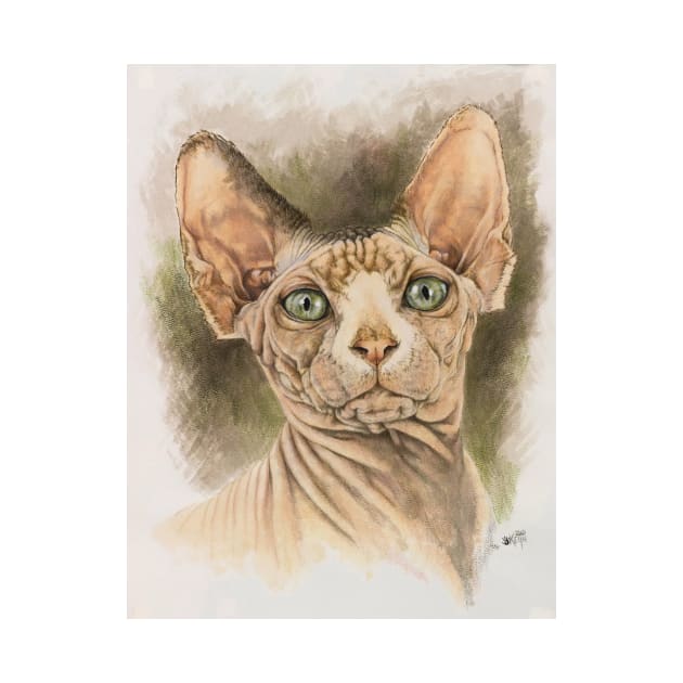 Sphynx Portrait by BarbBarcikKeith