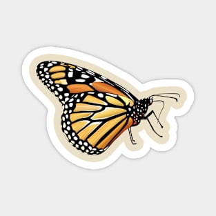 Monarch Butterfly Magnet