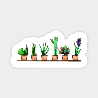 cacti Magnet