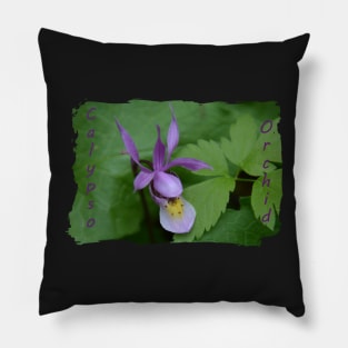 Calypso Orchid Pillow