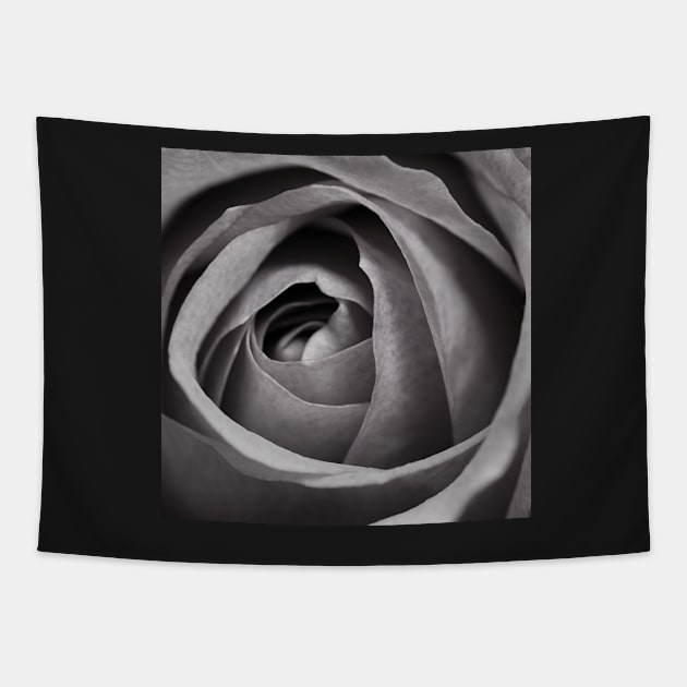 Rose Tapestry by Nature-Arts