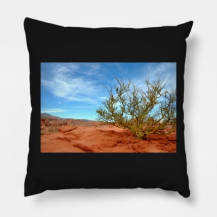 Argentine - Quebrada de las Conchas Pillow