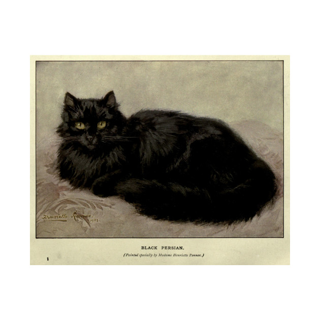 Vintage Painting of a Black Cat (1903) - Black Cat - Phone Case