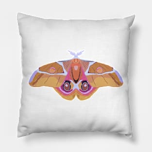 Moth Pillow