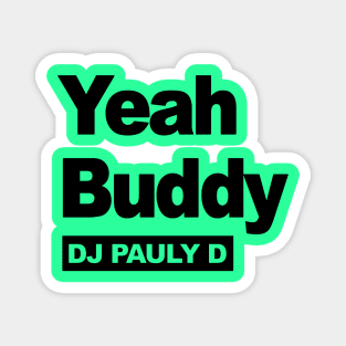 Dj Pauly D Logo Magnet