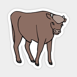 Brown Cow Magnet