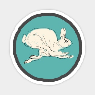 run rabbit run Magnet