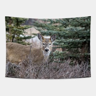 White tailed deer Tapestry