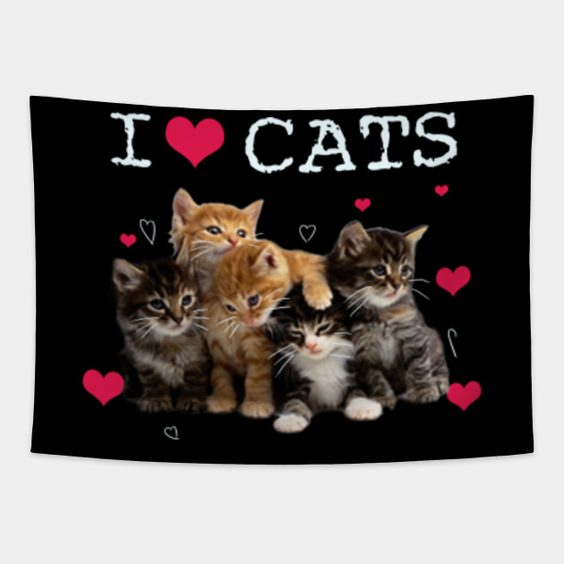 I Love Cats I Love Kittens Cat Lover T Shirt I Love Cats I Love