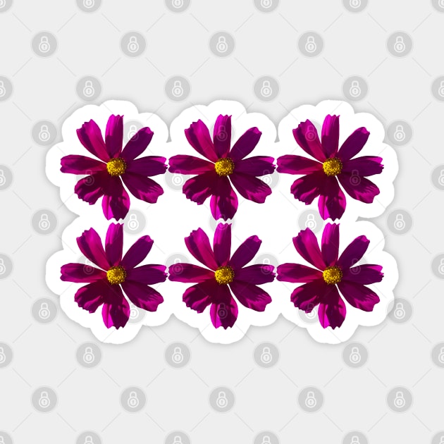 Dark Pink Cosmos Flowers in Six Pattern Magnet by ellenhenryart