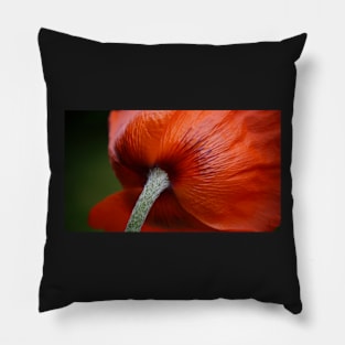 The Back of a Poppy Pillow