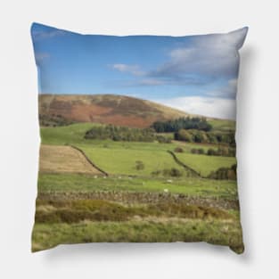 Clitheroe Farmland Pillow