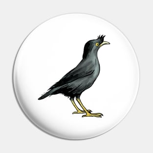 Crested Myna Pin