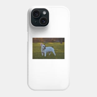 French bulldog Phone Case