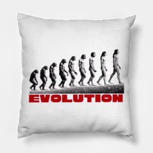 Evolution Pillow