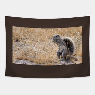 Ground squirrel. Tapestry