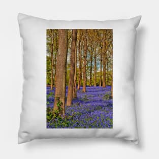 Bluebell Woods Greys Court Oxfordshire England UK Pillow