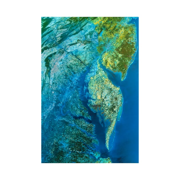 Infrared satellite image of Chesapeake Bay estuary (E552/0087) by SciencePhoto