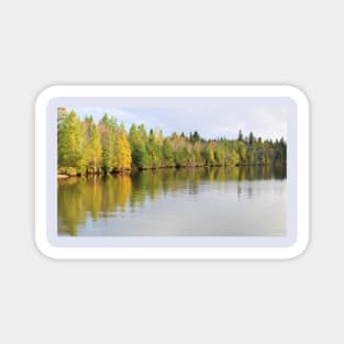 Rene Brunelle Provincial Park, Remi Lake, Ontario, Canada Magnet