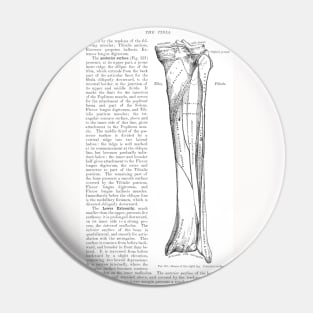 Antique Anatomy Papers Neck Gator Tibia Anatomy Pin