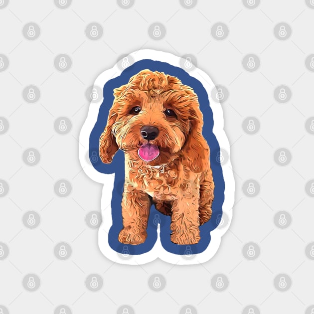 Cavapoo golden outlet