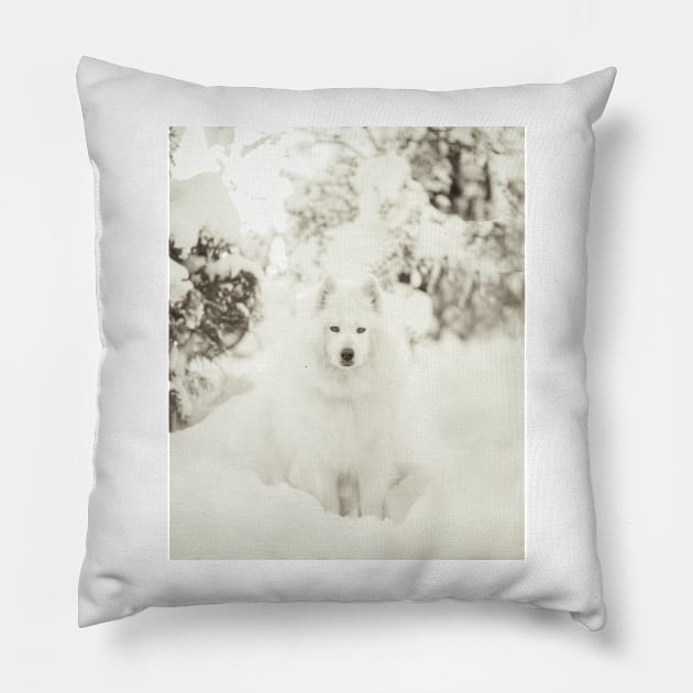 Snowy Samoyed Phone Case Pillow by XOXOX