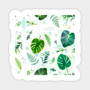 Tropical Plant Leaves - LG Magnet