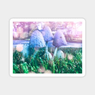 Mushroom Daydreams Magnet