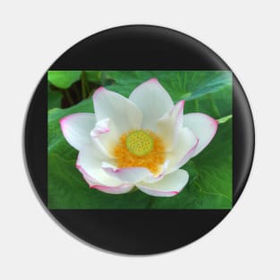 Luscious Lotus Pin