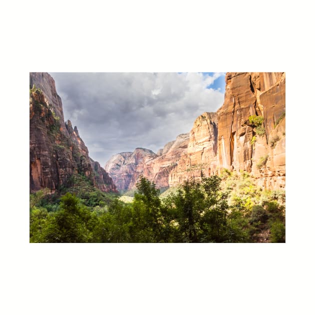 Weeping Rock Alcove View - Zion - Utah by Debra Martz