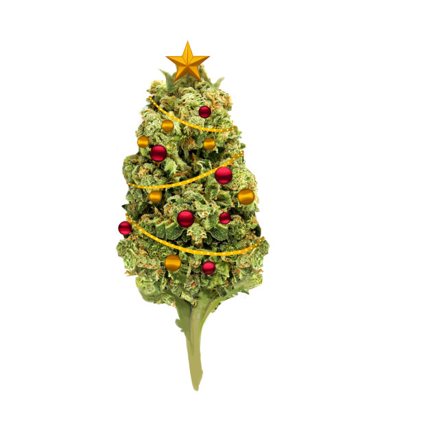 christmas tree weed