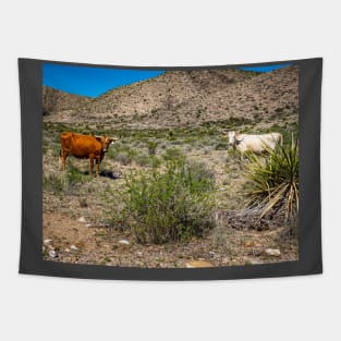 Criollo Cattle on the Open Range Tapestry