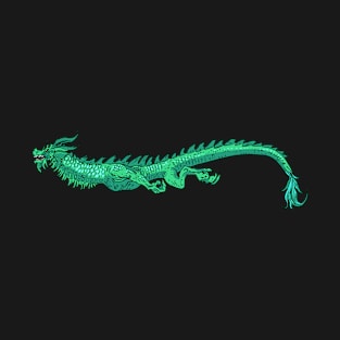 Dragon glider T-Shirt