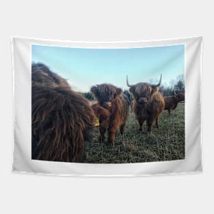 Scottish Highland Cattle Calves 1851 Tapestry