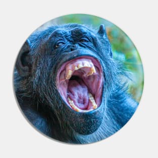 Chimpanzee laugh Pin