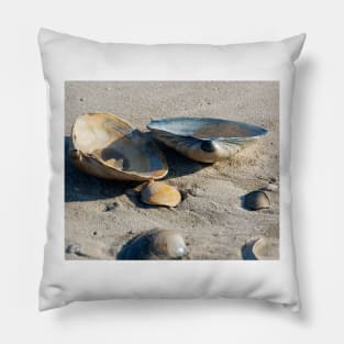 Clams on the shore Pillow