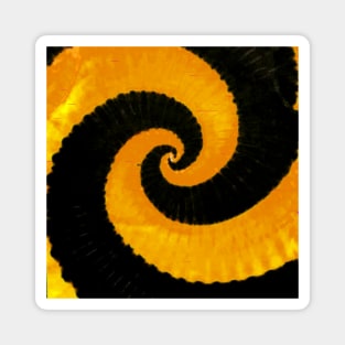 Spiral Golden Yellow Black Tie Dye Magnet