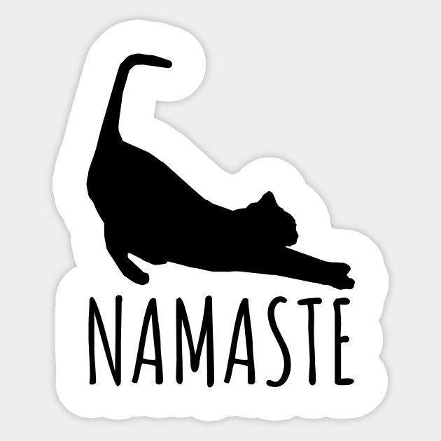 Namaste Stretching Cat Yoga Funny Yoga Tee Shirt
