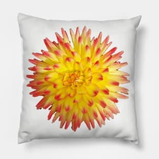 Yellow and Pink Spiky Flower Photo Pillow