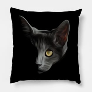 Black Cat Pillow