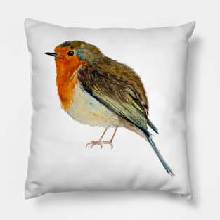 Robin Pillow