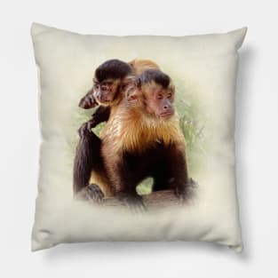 Tufted capuchins Pillow
