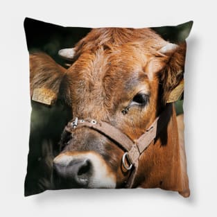 Veal Pillow