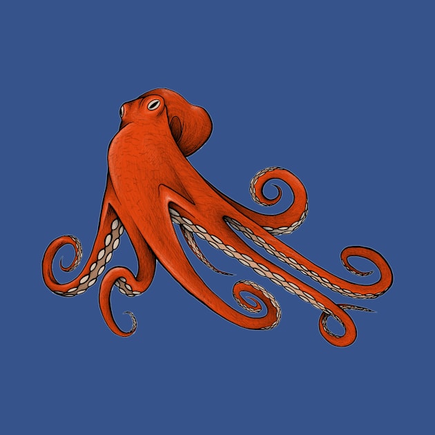 Octopus, octopus illustration, octopus drawing, octopus artwork by Akman